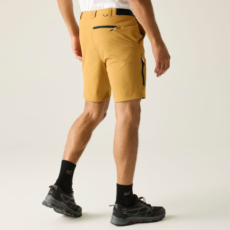 Spodenki męskie Regatta Anti-Insect Travel Light Shorts