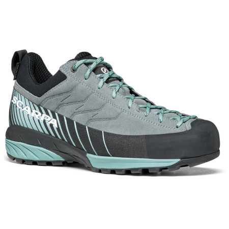 Damskie buty trekkingowe Scarpa Mescalito GTX LD