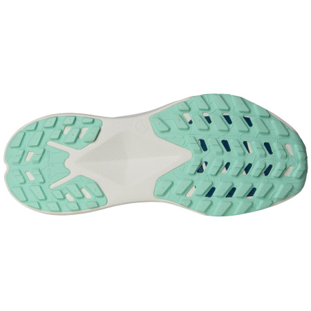 Damskie buty do biegania The North Face Altamesa 300