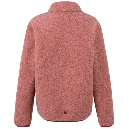 Bluza dziecięca Regatta Junior Frankie Warm Fleece