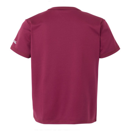 T-shirt dziecięcy Regatta Alvarado IX