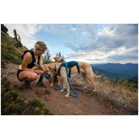 Szelki dla psa Ruffwear Switchbak™ Harness