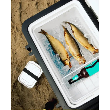 Lodówka turystyczna Mestic Compressor MCCA-42 AC / DC