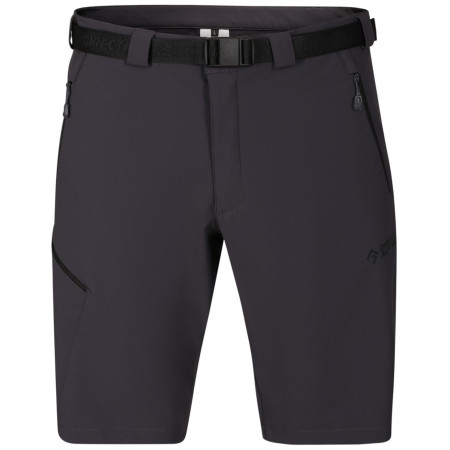Spodenki męskie Direct Alpine Cruise Shorts 3.0 czarny/szary anthracite