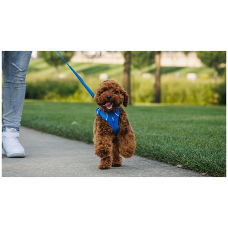 Smycz dla psa Ruffwear Front Range™ Leash
