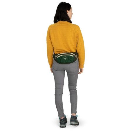 Nerka Osprey Daylite Waist Black