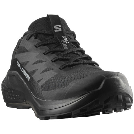 Buty męskie Salomon Alphaglide Gore-Tex