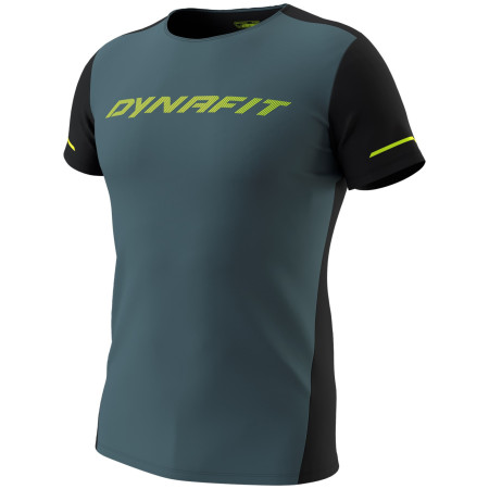 Męska koszulka Dynafit Alpine 2 S/S Tee M