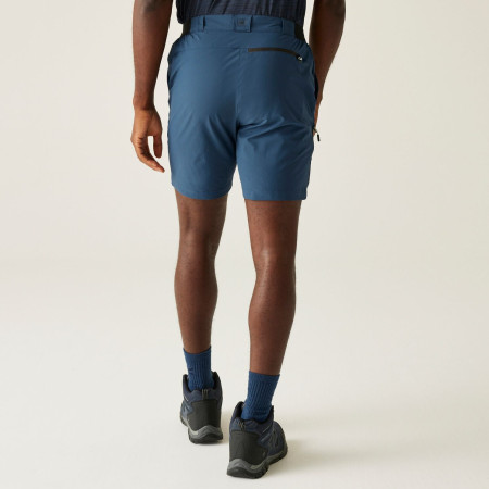 Męskie szorty Regatta Travel Light Packaway Shorts