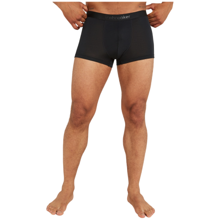 Męskie bokserki Icebreaker M Mer 125 Cool-Lite Anatomica Trunks