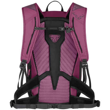 Damski plecak turystyczny Dynafit Transalper 22 Backpack W