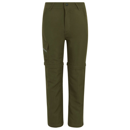 Spodnie dziecięce Regatta Sorcer Z/O Trousers III Treetop zielony Treetop