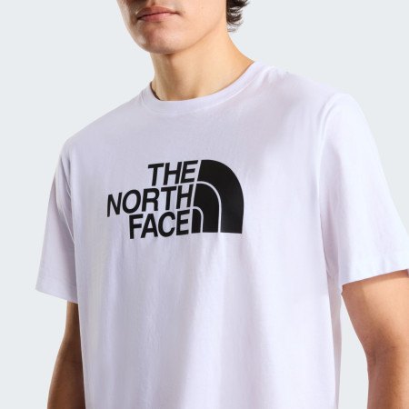 Koszulka męska The North Face Evolution Half Dome Regular Short Slee