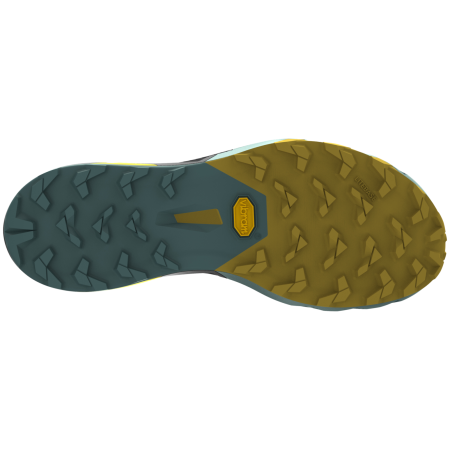 Buty do biegania dla mężczyzn Dynafit Alpine Pro 2