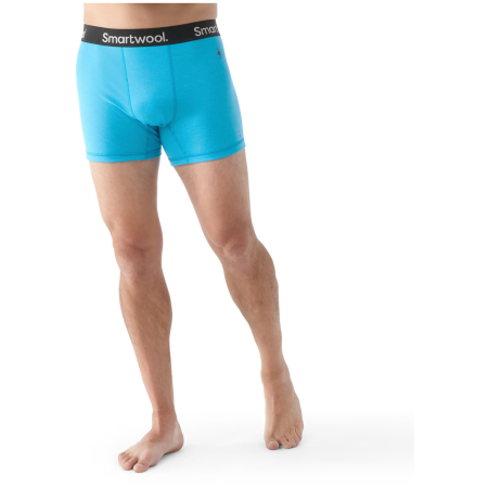 Męskie bokserki Smartwool M Boxer Brief Boxed
