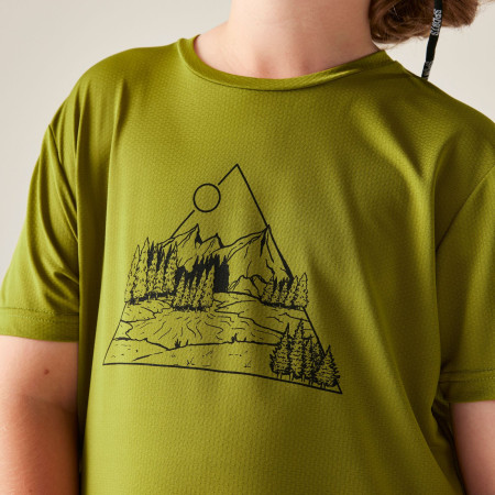 T-shirt dziecięcy Dare 2b Amuse III Tee Goldn Cypress