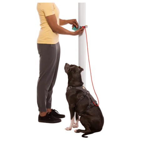 Smycz dla psa Ruffwear Hitch Hiker™ Leash