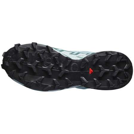 Buty damskie Salomon Speedcross 6 Gore-Tex