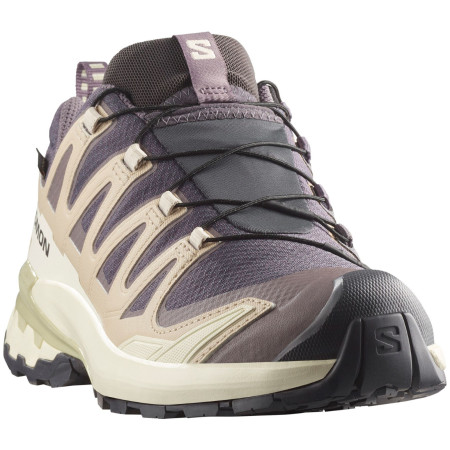 Damskie buty turystyczne Salomon Xa Pro 3D V9 Gore-Tex