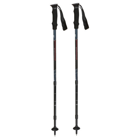 Kije trekkingowe Hannah Antishock czarny/szary Gray/Anthracite