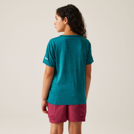 T-shirt dziecięcy Regatta Alvarado IX