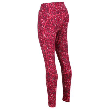 Damskie legginsy Regatta Holeen Legging II