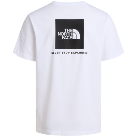 Koszulka męska The North Face M Evolution Box Nse Regular Short Sleeve