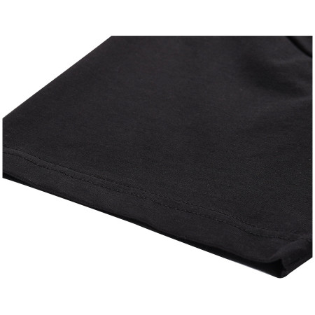 Koszulka męska Alpine Pro Morol