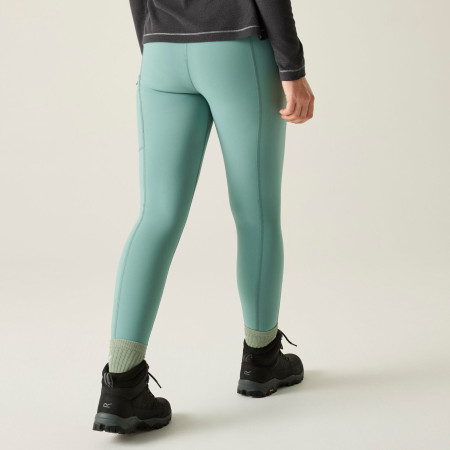 Damskie legginsy Regatta Monira Hiking Legging
