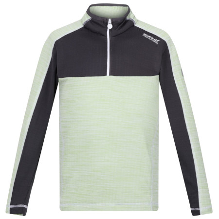Bluza dziecięca Regatta Hewley jasnozielony Quiet Green/Seal Grey