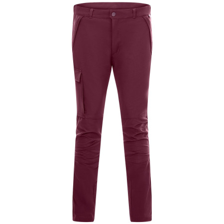 Spodnie dziecięce Regatta Tech Mountain Trousers Fig fioletowy Fig
