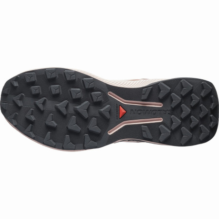 Damskie buty do biegania Salomon Genesis 2 Gtx W