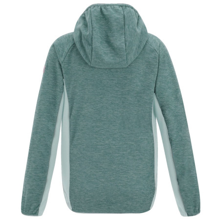 Bluza dziecięca Regatta Skylar IvyMossOMist