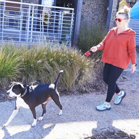 Smycz dla psa Nite Ize RadDog™ Retractable Pocket Leash