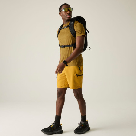 Koszulka męska Regatta Fingal Edition