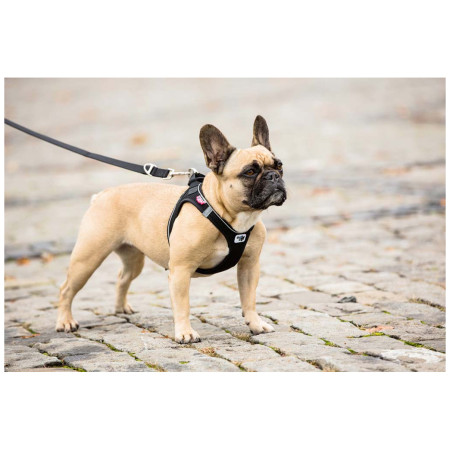 Smycz dla psa Curli Adjustable Leash Nylon