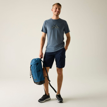 Spodenki męskie Regatta Bendrick Shorts