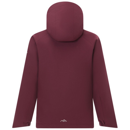 Kurtka zimowa dla dziewczynek Regatta Girls Trekktain 3-in-1 II FigPowLilac