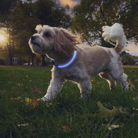 Świecąca obroża dla psa Nite Ize NiteHowl® Rechargeable LED Safety Necklace