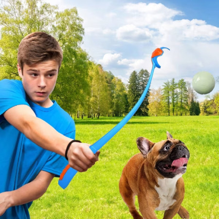 Zabawka dla psa Nerf Dog Set Lightning & Sonic