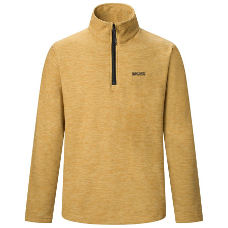 Bluza męska Regatta Thompson Marl