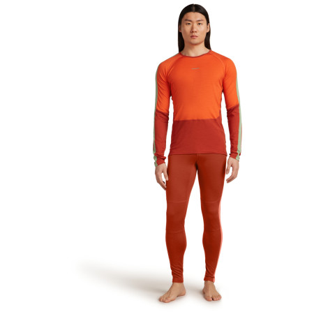 Męska koszulka Icebreaker Men Merino 200 Oasis+ LS Crewe