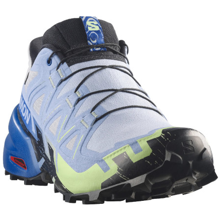 Buty do biegania dla mężczyzn Salomon Speedcross 6 GTX Icon
