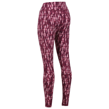 Damskie legginsy Regatta Holeen Legging II