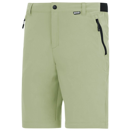 Spodnie męskie Regatta Anti-Insect Travel Light Z/O Trousers