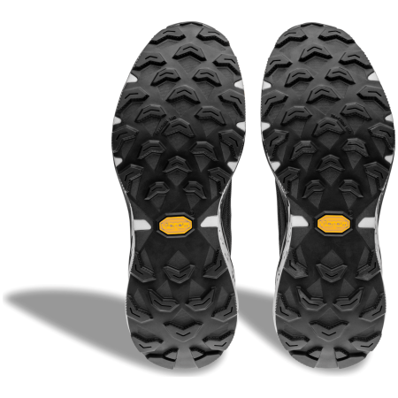 Damskie buty do biegania Dynafit Ultra 100 V3 GTX W