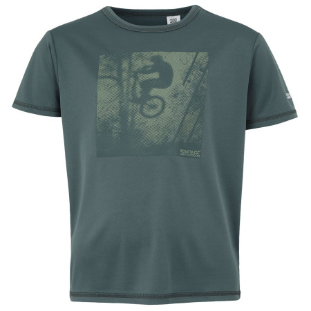 T-shirt dziecięcy Regatta Alvarado IX