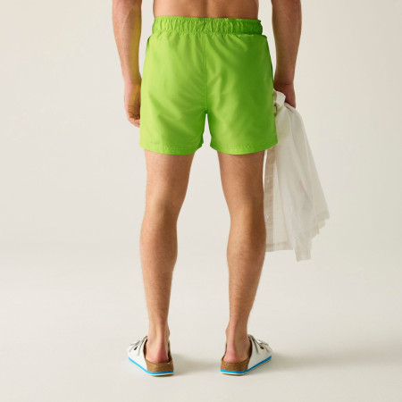 Męski strój kąpielowy Regatta Mawson Swim Shorts III