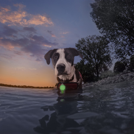 Światełko do obroży Nite Ize SpotLit® Splash™