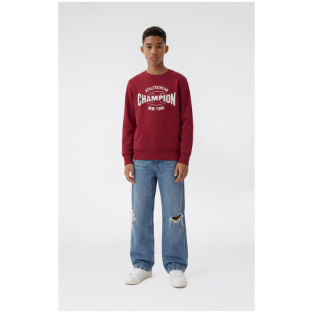 Bluza dziecięca Champion Crewneck Sweatshirt B GMS